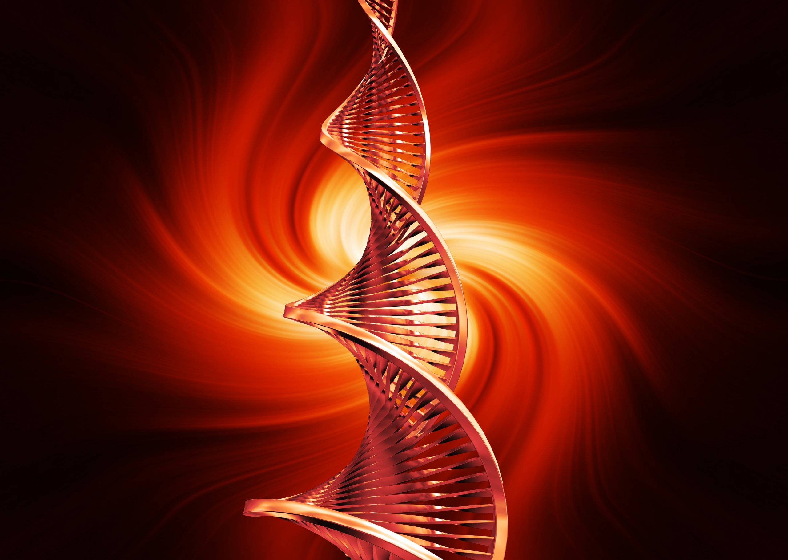 Forschung zum Neuroschamanismus